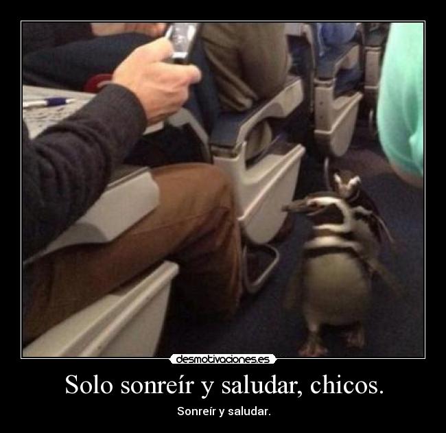 Solo sonreír y saludar, chicos. -