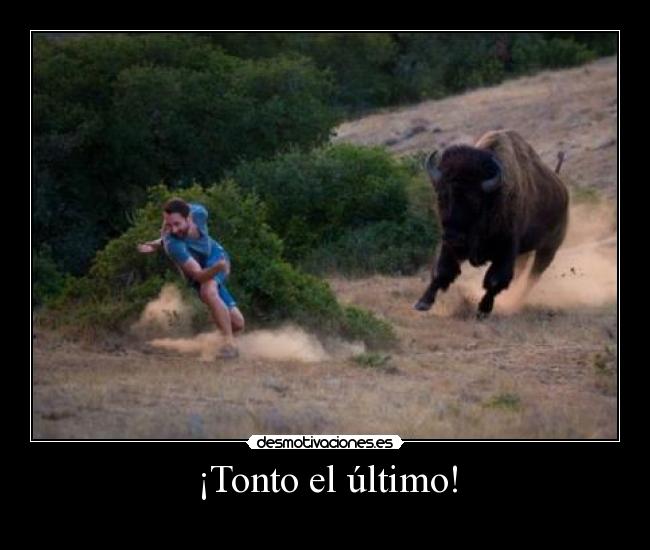 ¡Tonto el último! - 
