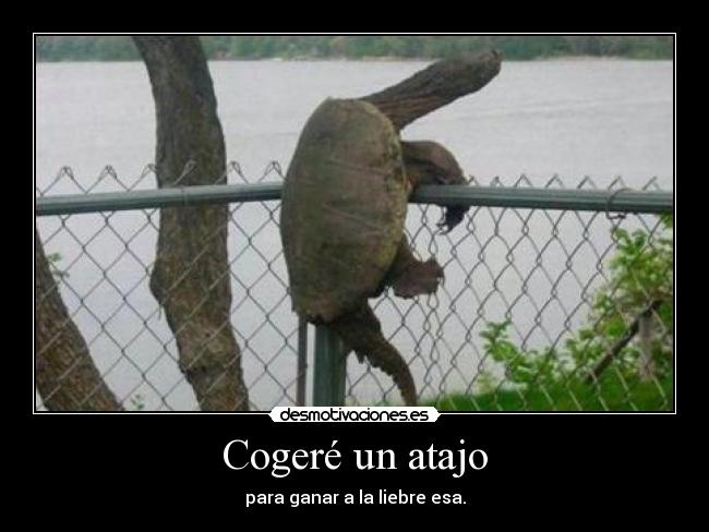 Cogeré un atajo - para ganar a la liebre esa.