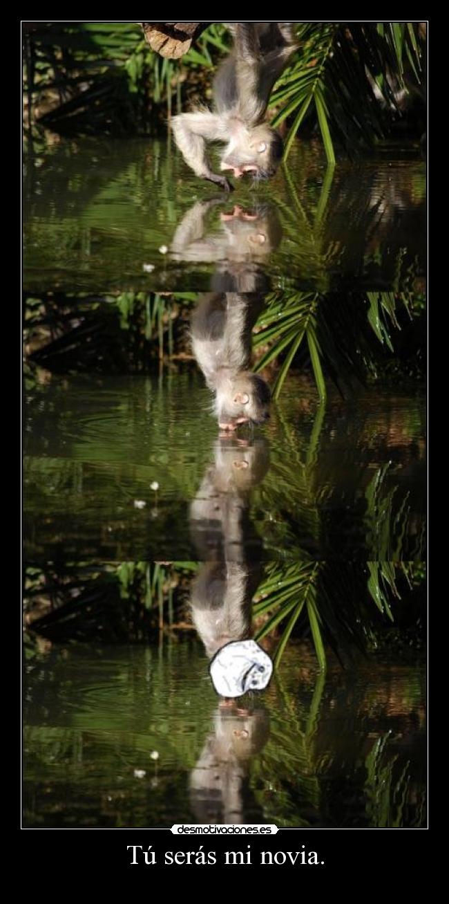 Tú serás mi novia. -