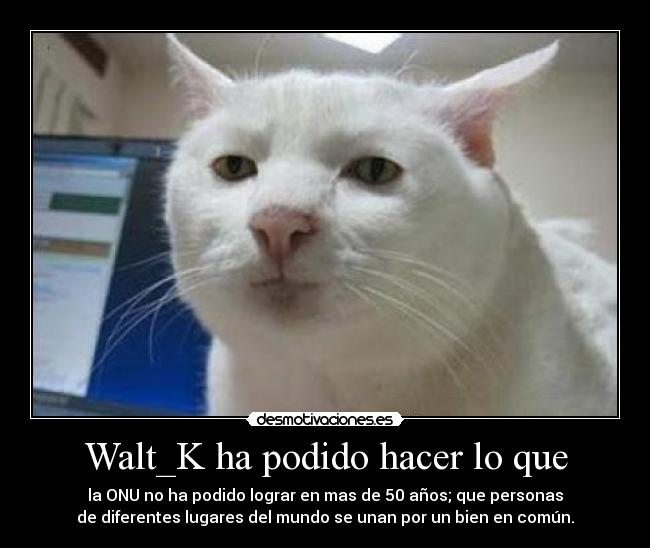 carteles realista desmotivaciones