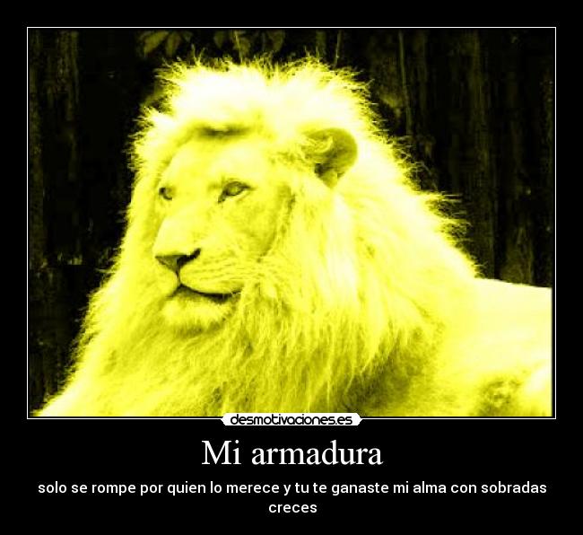 Mi armadura -
