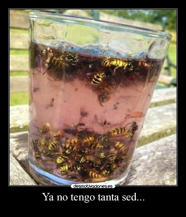 Ya no tengo tanta sed... -