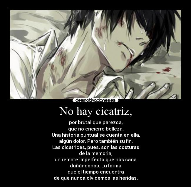 No hay cicatriz, - por brutal que parezca,
que no encierre belleza.
Una historia puntual se cuenta en ella,
algún dolor. Pero también su fin.
Las cicatrices, pues, son las costuras
de la memoria,
un remate imperfecto que nos sana
dañándonos. La forma
que el tiempo encuentra
de que nunca olvidemos las heridas.