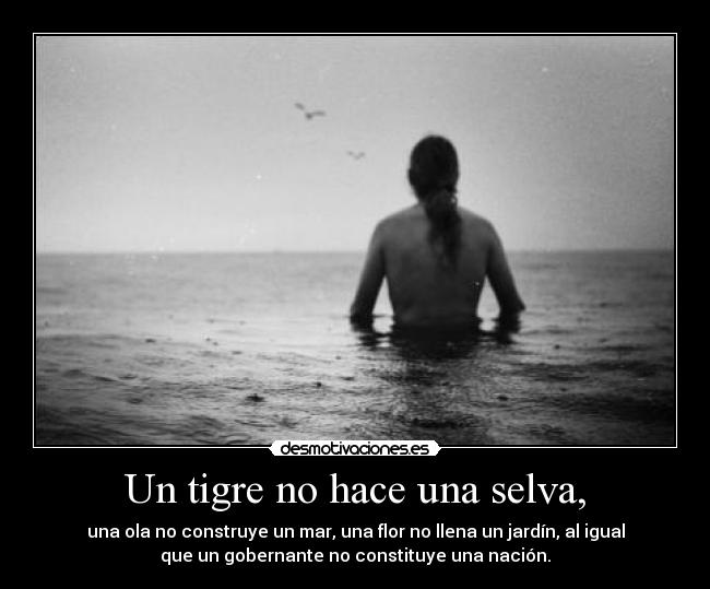 Un tigre no hace una selva, -