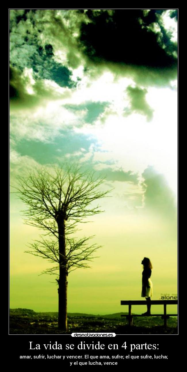 La vida se divide en 4 partes: -