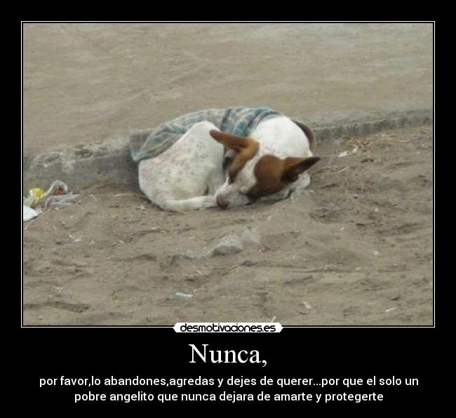 Nunca, - por favor,lo abandones,agredas y dejes de querer...por que el solo un
pobre angelito que nunca dejara de amarte y protegerte