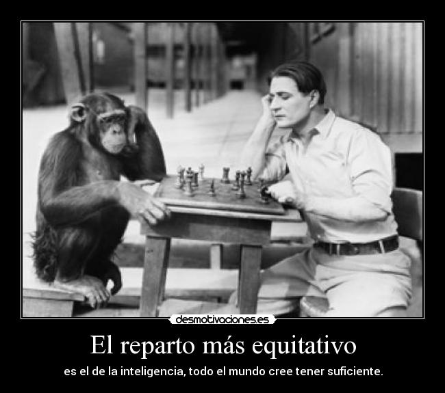 carteles kimii9 desmotivaciones