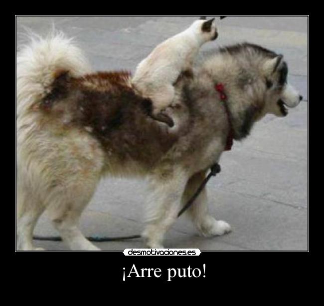 carteles tard desmotivaciones