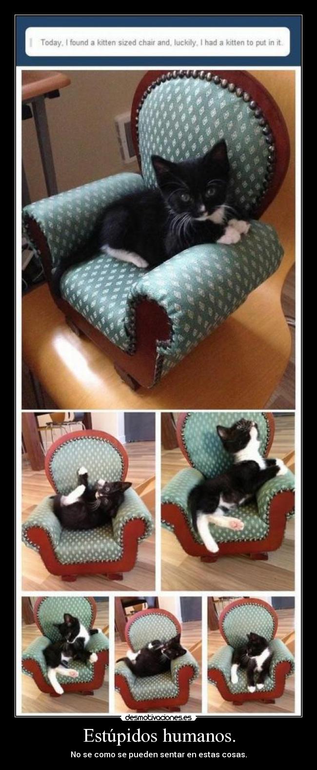 Estúpidos humanos. -