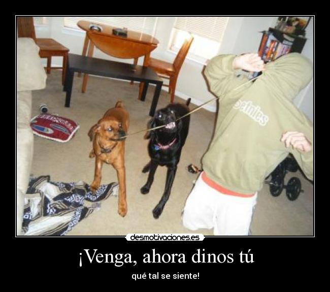 ¡Venga, ahora dinos tú - qué tal se siente!