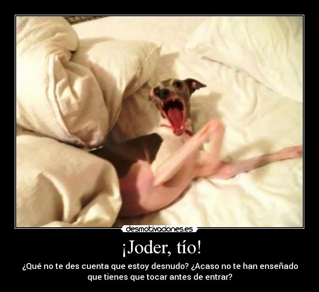 ¡Joder, tío! - ¿Qué no te des cuenta que estoy desnudo? ¿Acaso no te han enseñado
que tienes que tocar antes de entrar?