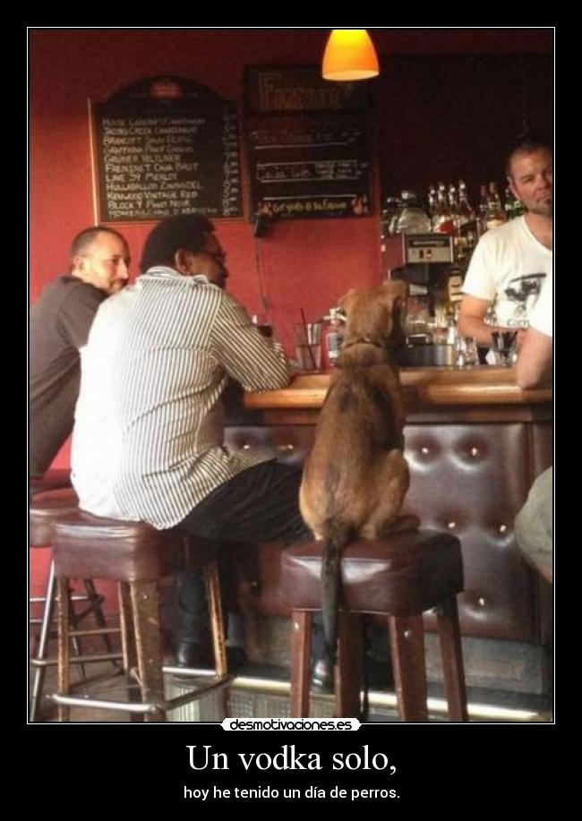 Un vodka solo, - 