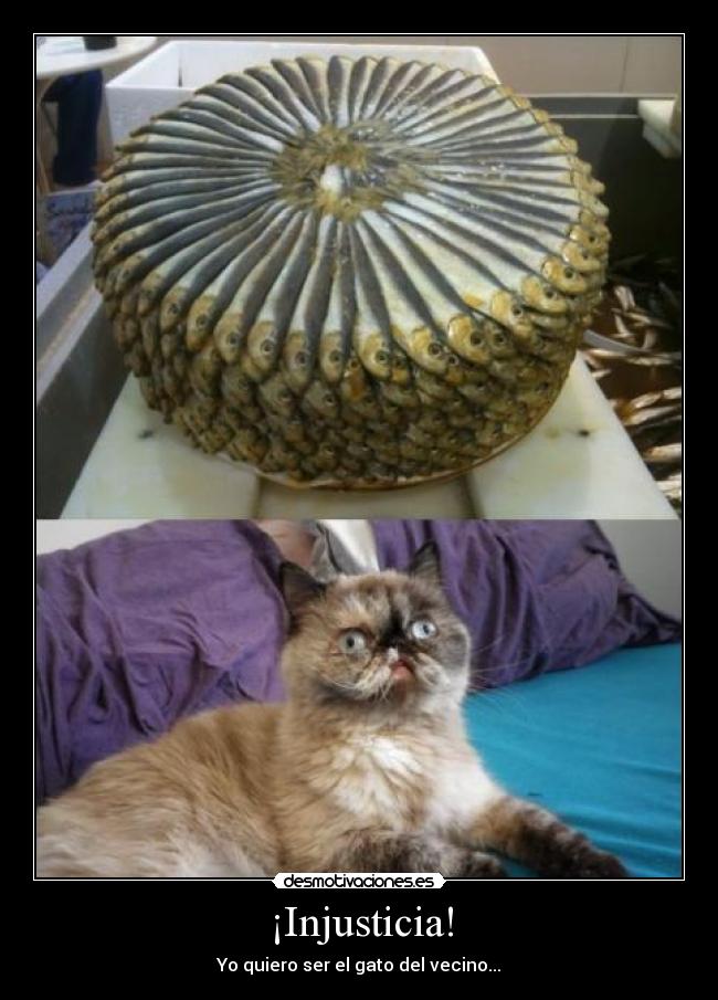 carteles desmofunny desmotivaciones