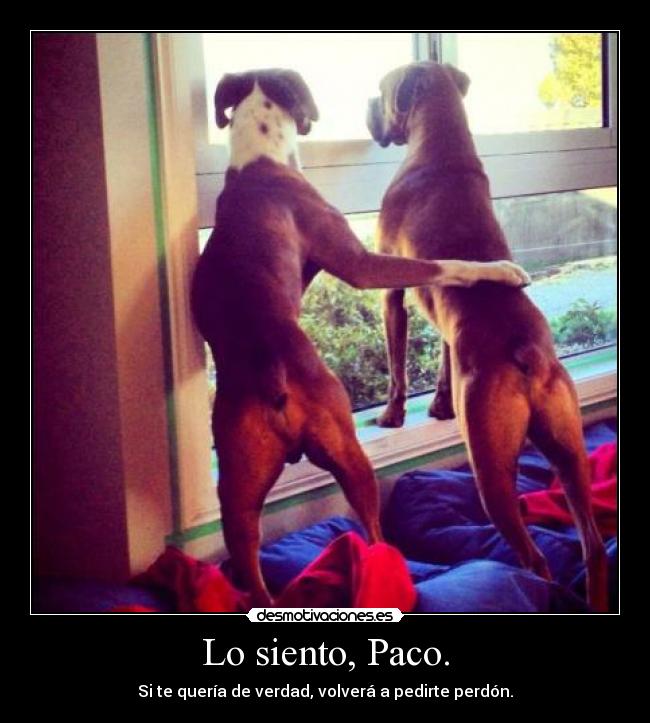 Lo siento, Paco. - 