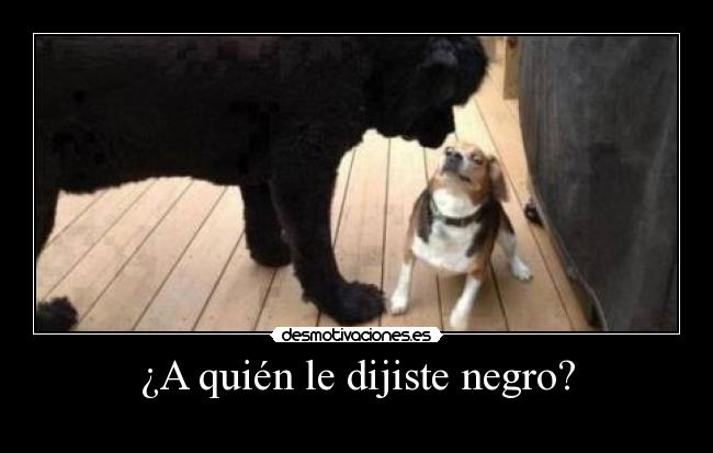 ¿A quién le dijiste negro? - 