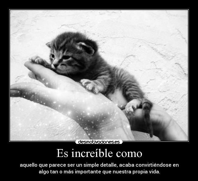 Es increíble como -