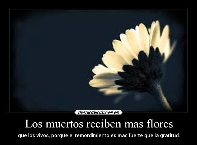 Los muertos reciben mas flores - que los vivos, porque el remordimiento es mas fuerte que la gratitud.