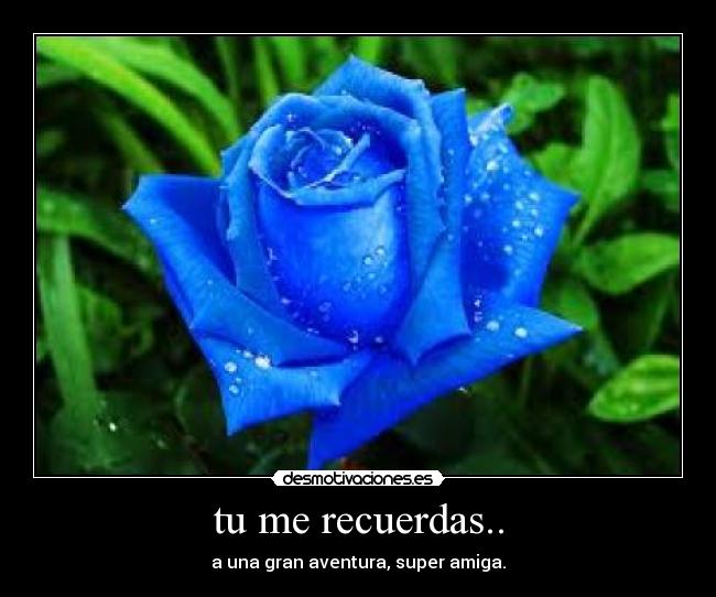 tu me recuerdas.. - a una gran aventura, super amiga.