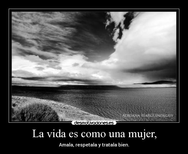 carteles vida mujer nadie desmotivaciones