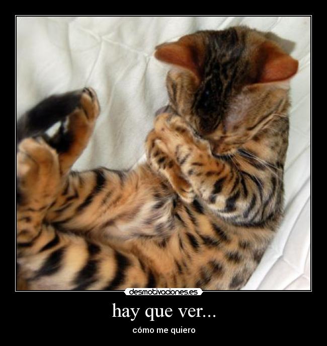 carteles animales desmotivaciones