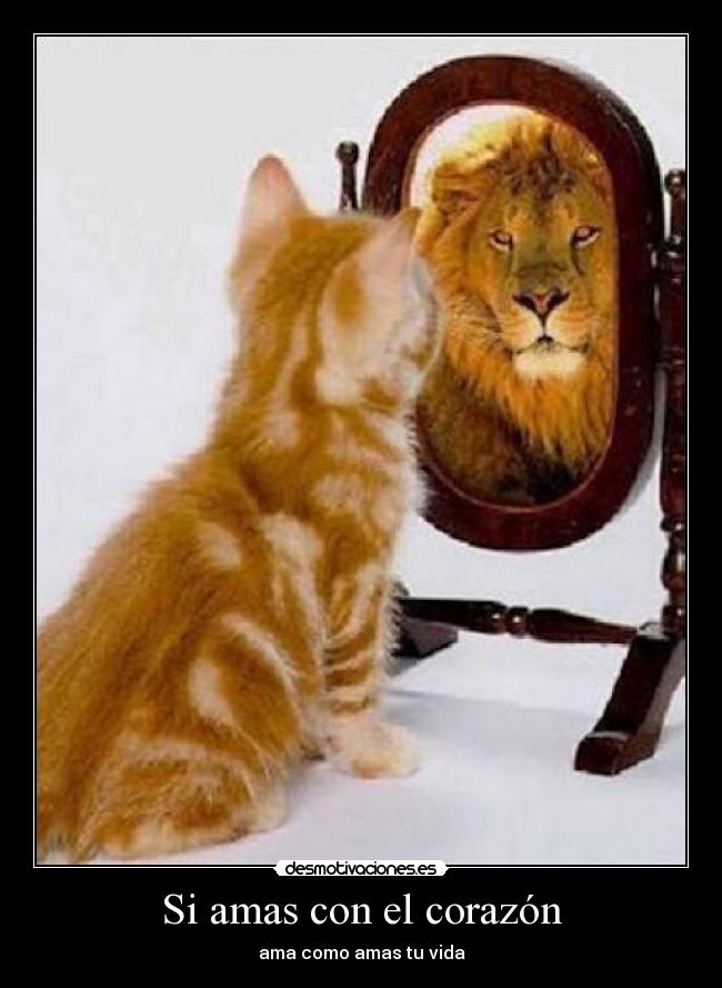 Si amas con el corazón - ama como amas tu vida