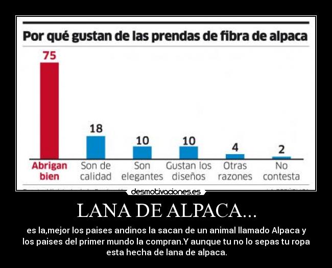 LANA DE ALPACA... -