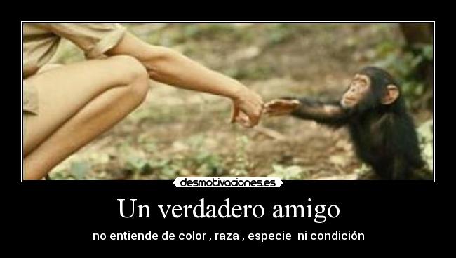 Un verdadero amigo - no entiende de color , raza , especie ni condición