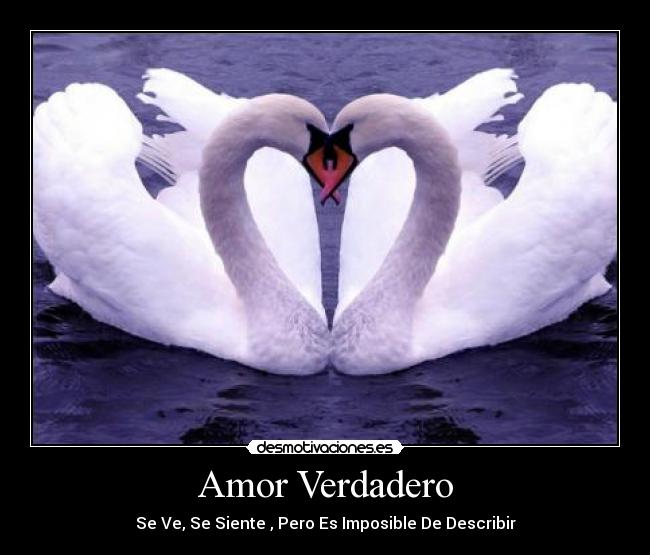 Amor Verdadero - Se Ve, Se Siente , Pero Es Imposible De Describir