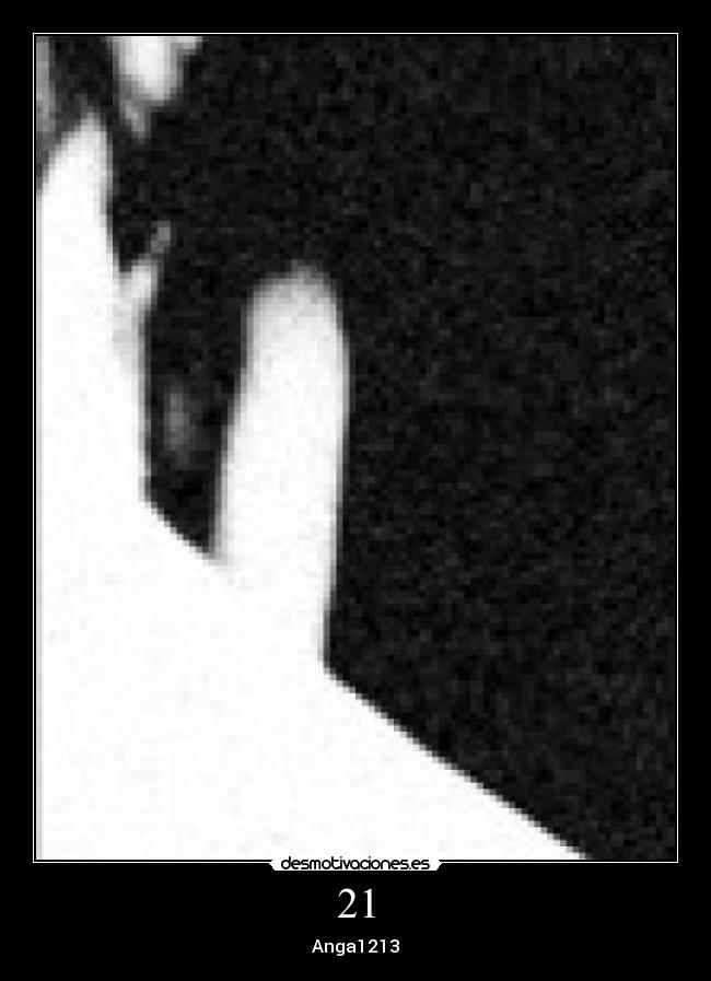 21 - Anga1213