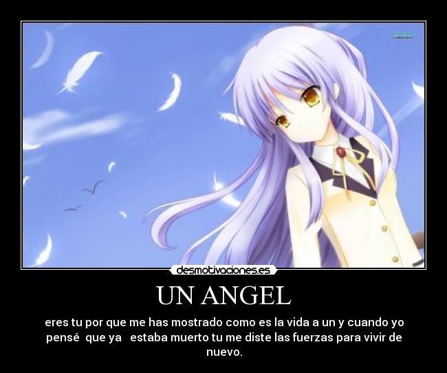 UN ANGEL - eres tu por que me has mostrado como es la vida a un y cuando yo
pensé que ya estaba muerto tu me diste las fuerzas para vivir de
nuevo.