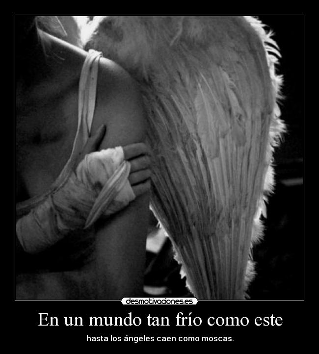 En un mundo tan frío como este - hasta los ángeles caen como moscas.