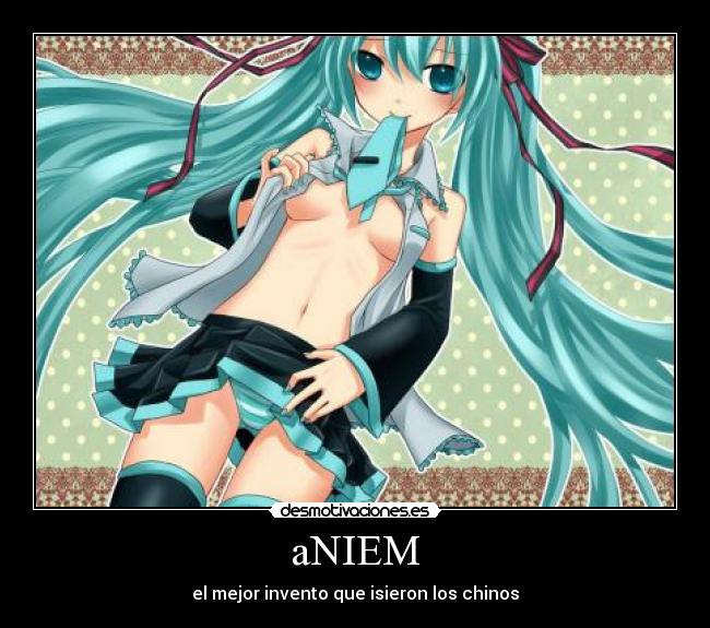 aNIEM -