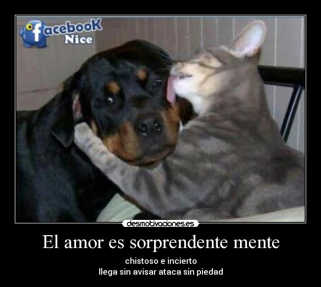 El amor es sorprendente mente - chistoso e incierto
llega sin avisar ataca sin piedad