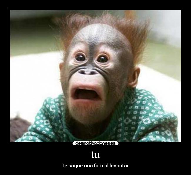 carteles depilate desmotivaciones