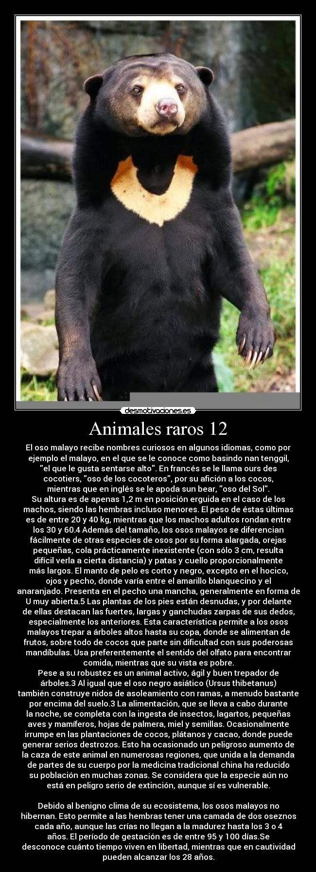 carteles animales godricvampire666 animalesraros desmotivaciones