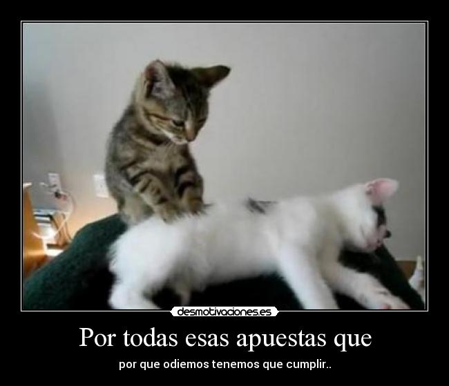 Por todas esas apuestas que - por que odiemos tenemos que cumplir..