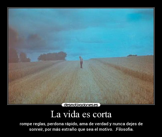 La vida es corta - 