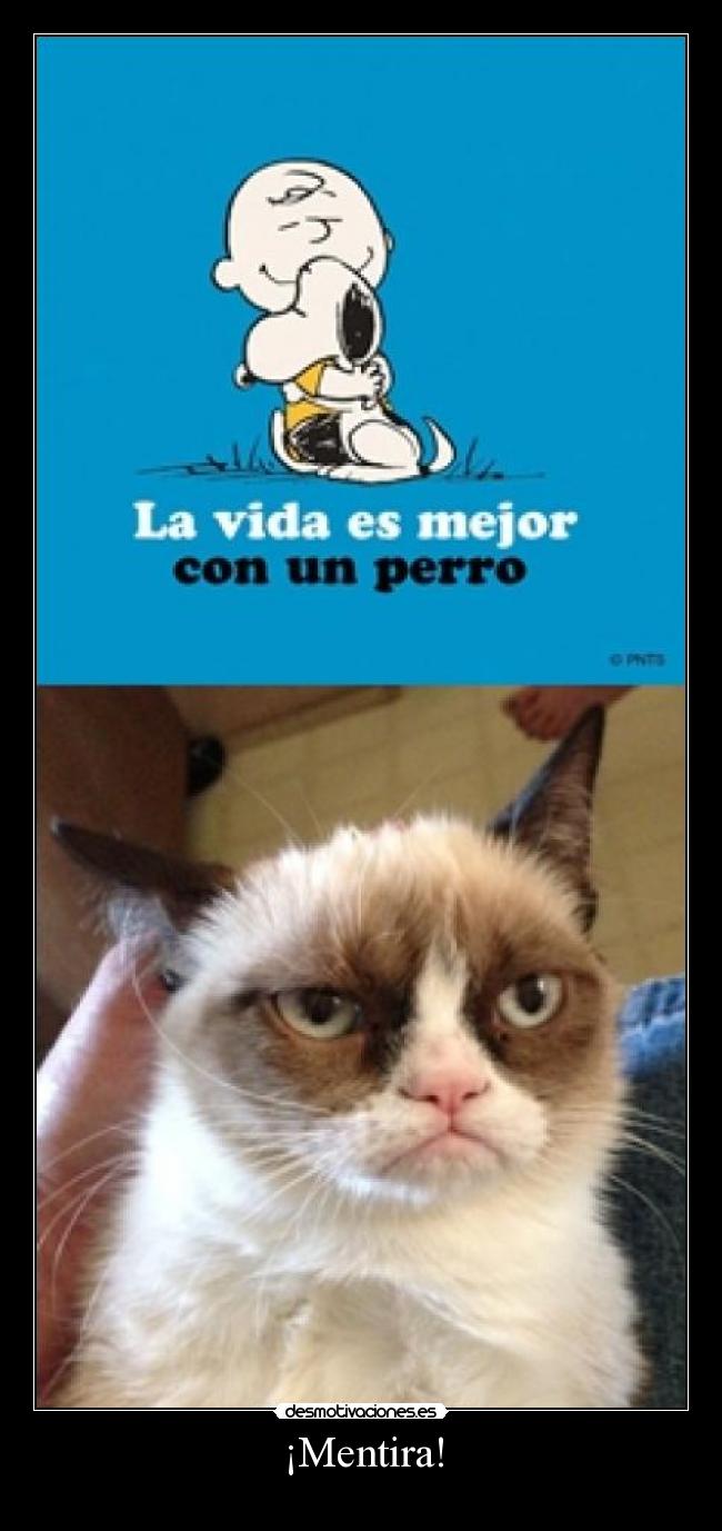 carteles mentira crazyteam grumpy cat desmotivaciones