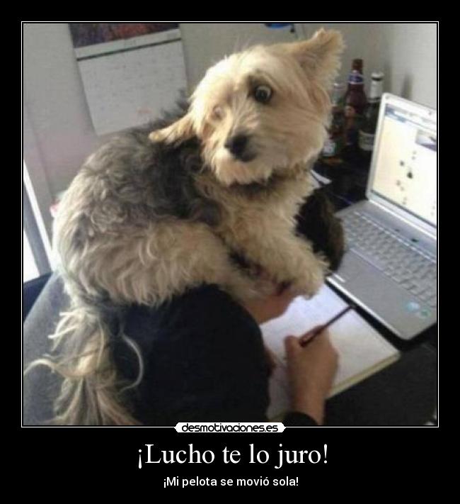 ¡Lucho te lo juro! - ¡Mi pelota se movió sola!