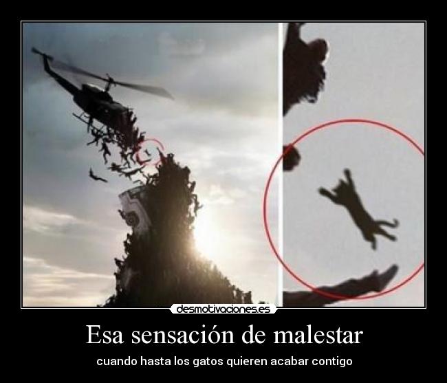 Esa sensación de malestar - cuando hasta los gatos quieren acabar contigo