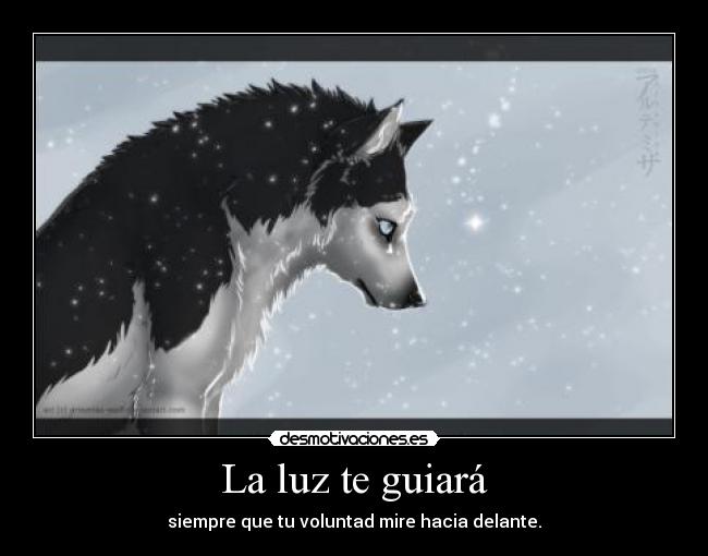 La luz te guiará - 