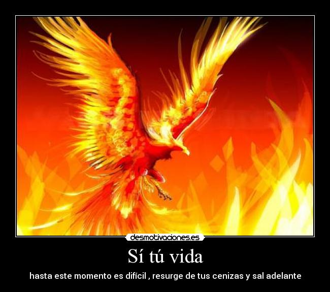 Sí tú vida -