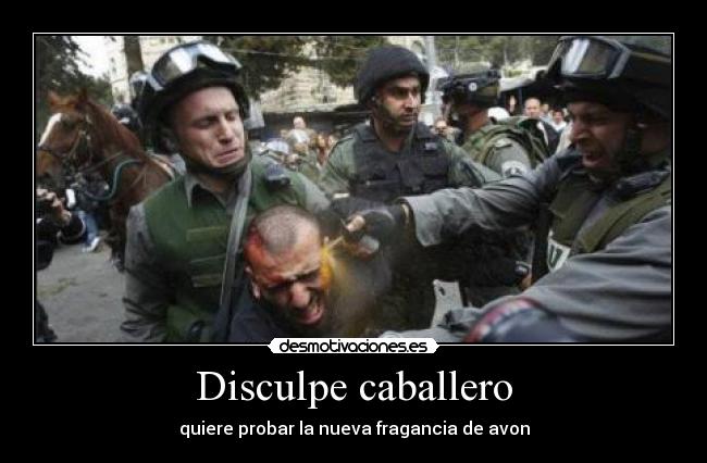 Disculpe caballero - 