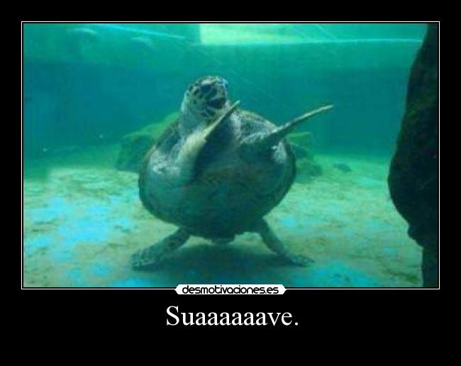 Suaaaaaave. - 