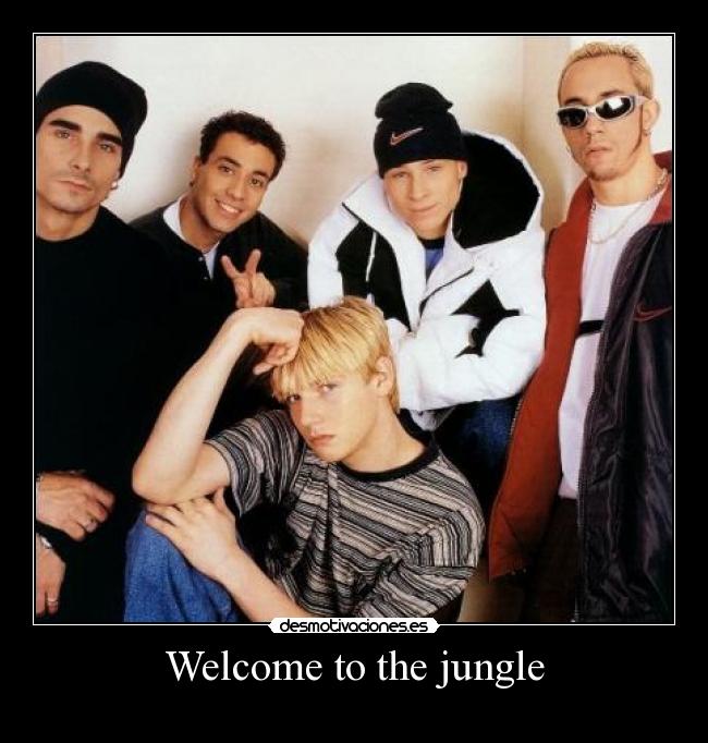 Welcome to the jungle -