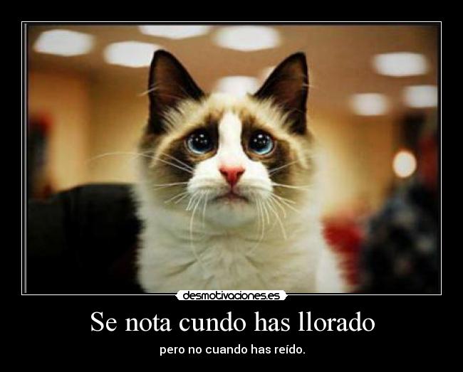 Se nota cundo has llorado - 
