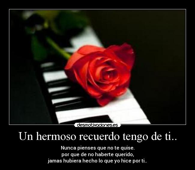Un hermoso recuerdo tengo de ti.. - Nunca pienses que no te quise.
por que de no haberte querido,
jamas hubiera hecho lo que yo hice por ti..