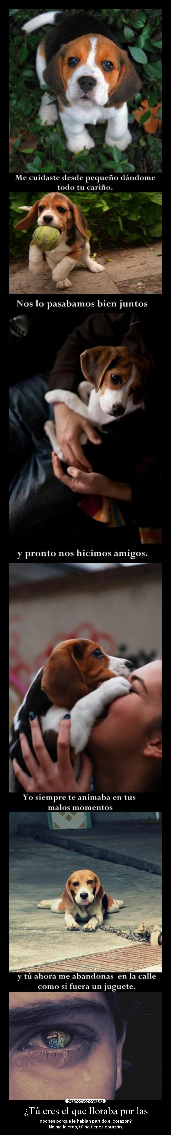 ¿Tú eres el que lloraba por las - 