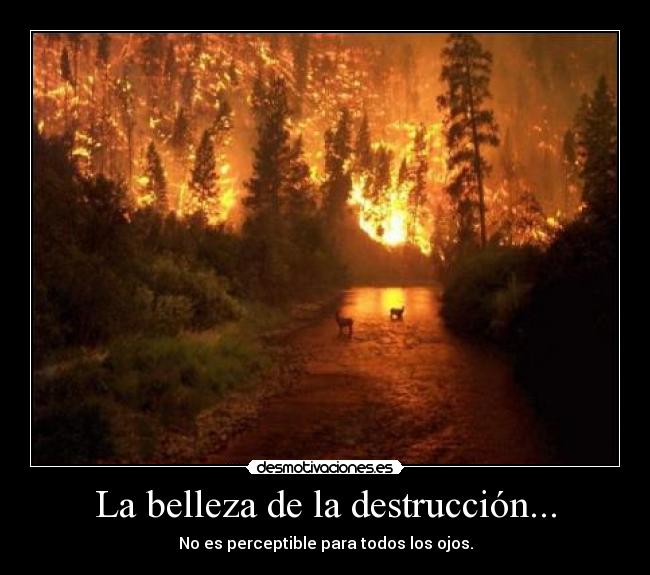 La belleza de la destrucción... - No es perceptible para todos los ojos.